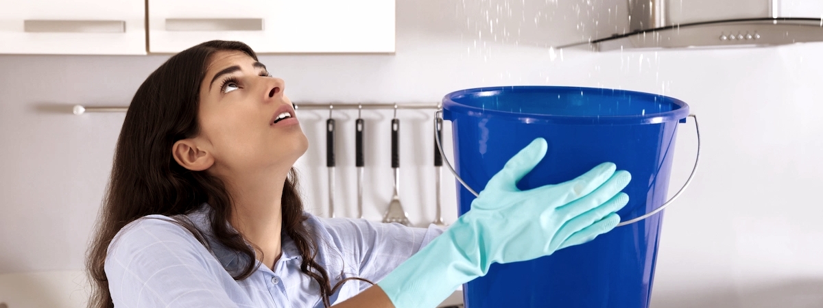 Emergency Roof Leak Repair