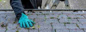 Roof Mold and Mildew Growth on Roofing Materials